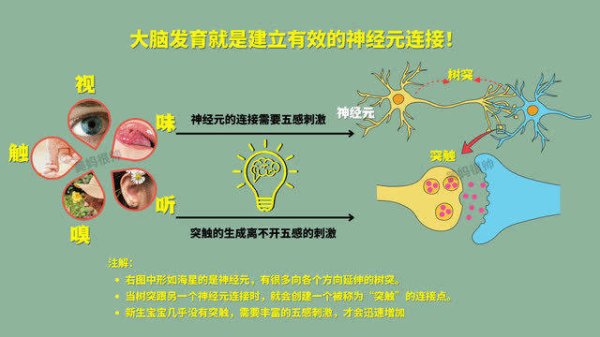 股票开户配资 想孩子聪明智商高？做好这件事，打通大脑“任督二脉”