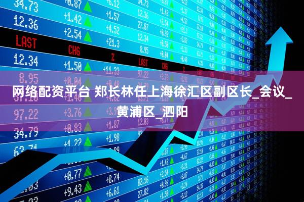网络配资平台 郑长林任上海徐汇区副区长_会议_黄浦区_泗阳